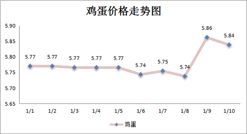 图片3