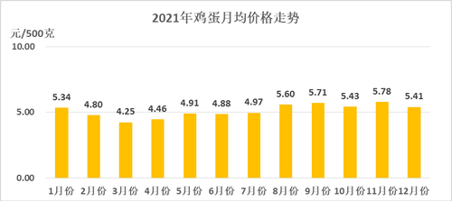 图片7