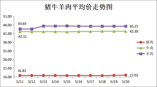 图片11