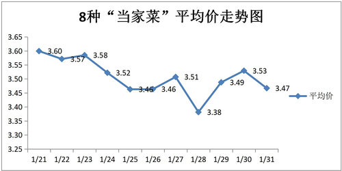 图片8