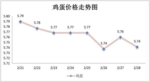 图片3