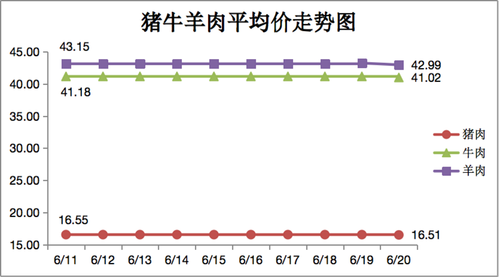 图片15