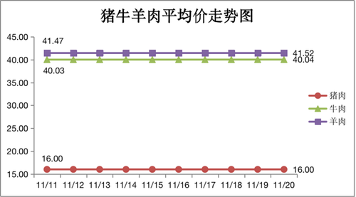 图片11