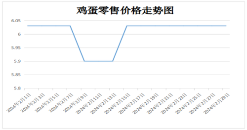 图片6