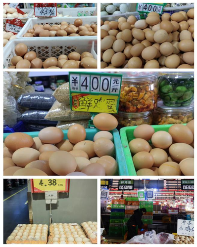 图片1