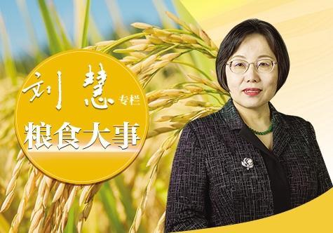 图片7 图片7