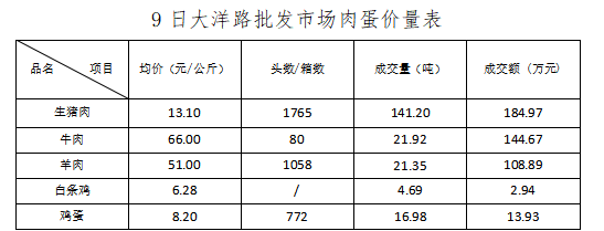 朝阳6 朝阳6